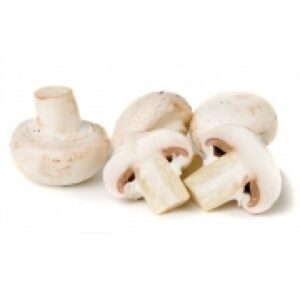 Funghi Champignon
