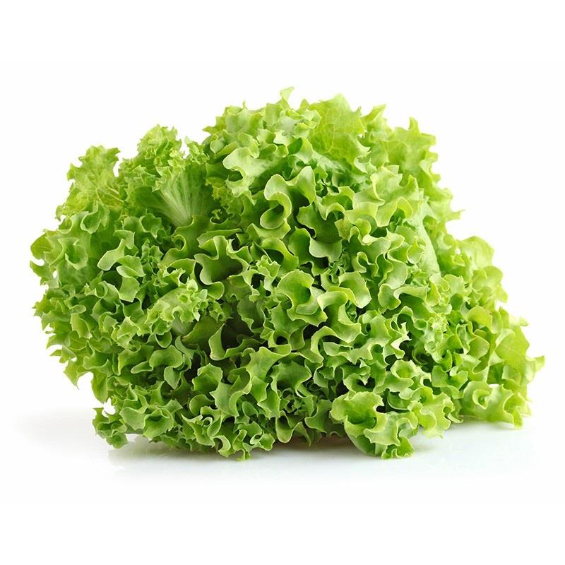 Insalata Gentile
