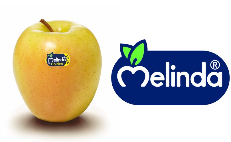 Mele Golden Melinda