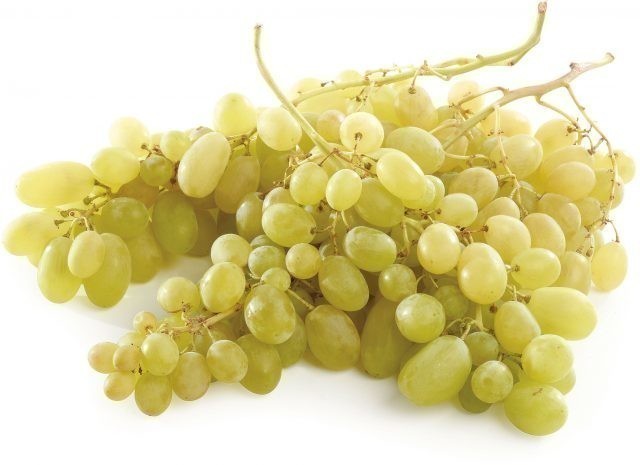 Uva Pizzutella