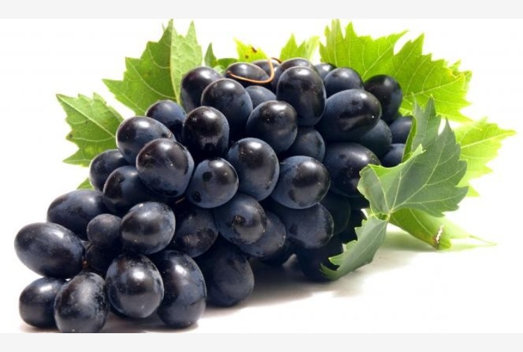 Uva Nera