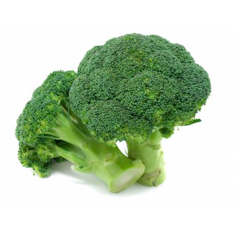 Broccoletto