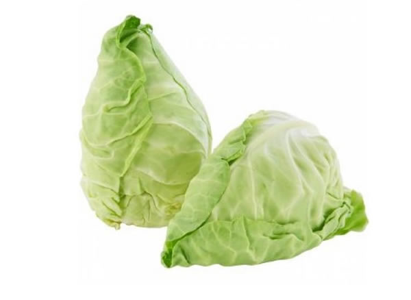 Cavolo Cappuccio