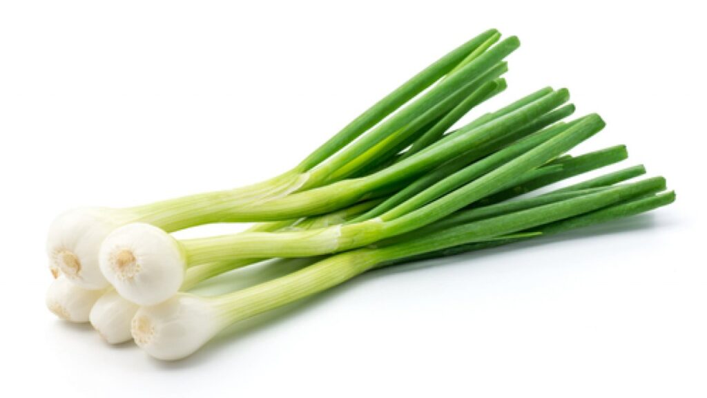 Cipollotto Bianco