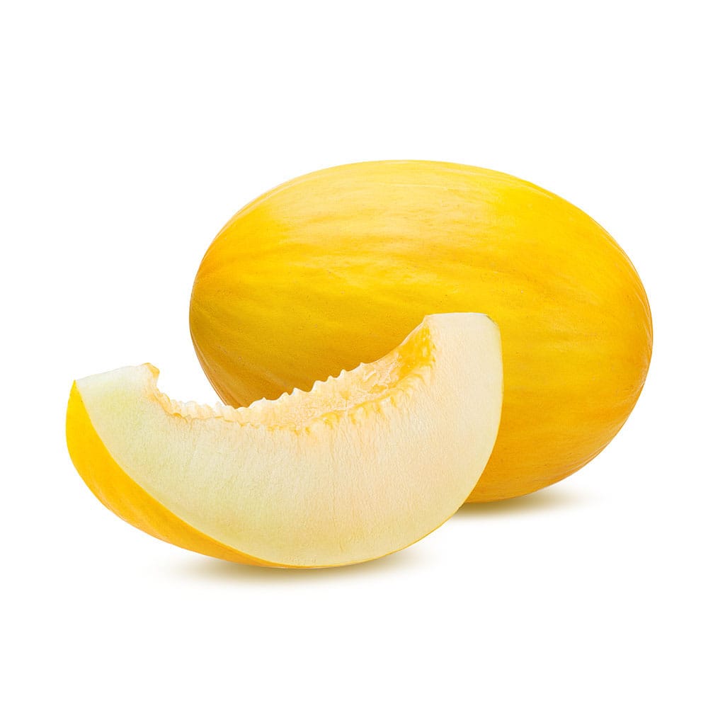 Melone Gialletto