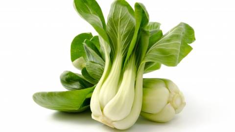Pak-Choi