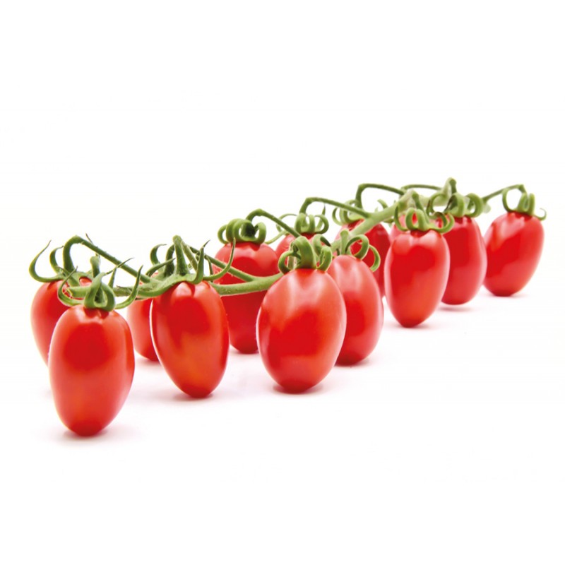 Pomodori Datterini Rossi