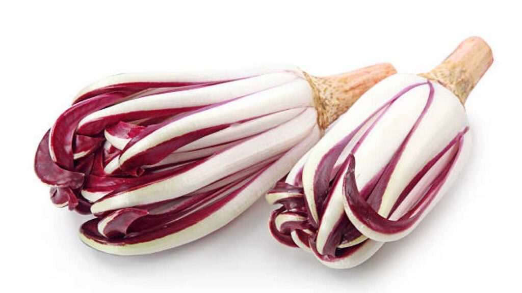 Radicchio Tardivo