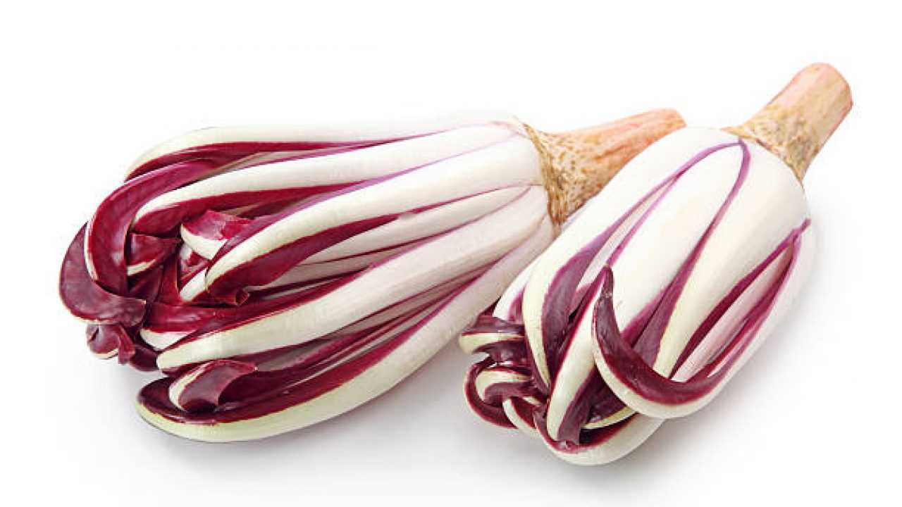 Radicchio Tardivo
