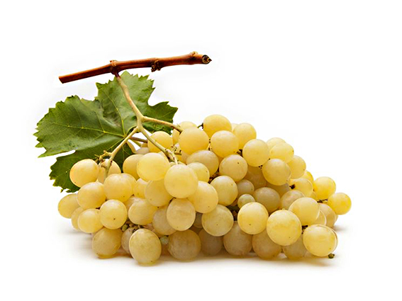 Uva Italia Bianca