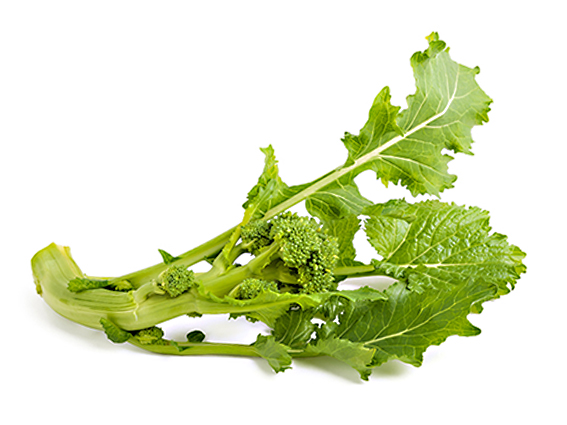 Cima di Rapa