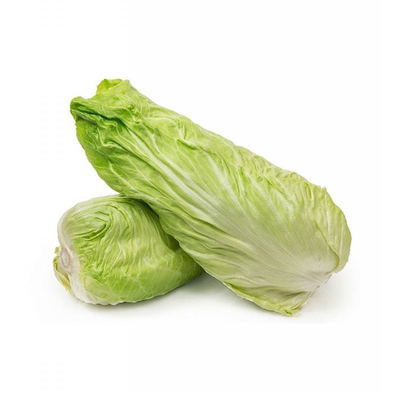 Insalata Pan di Zucchero