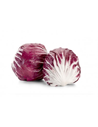 Radicchio Tondo